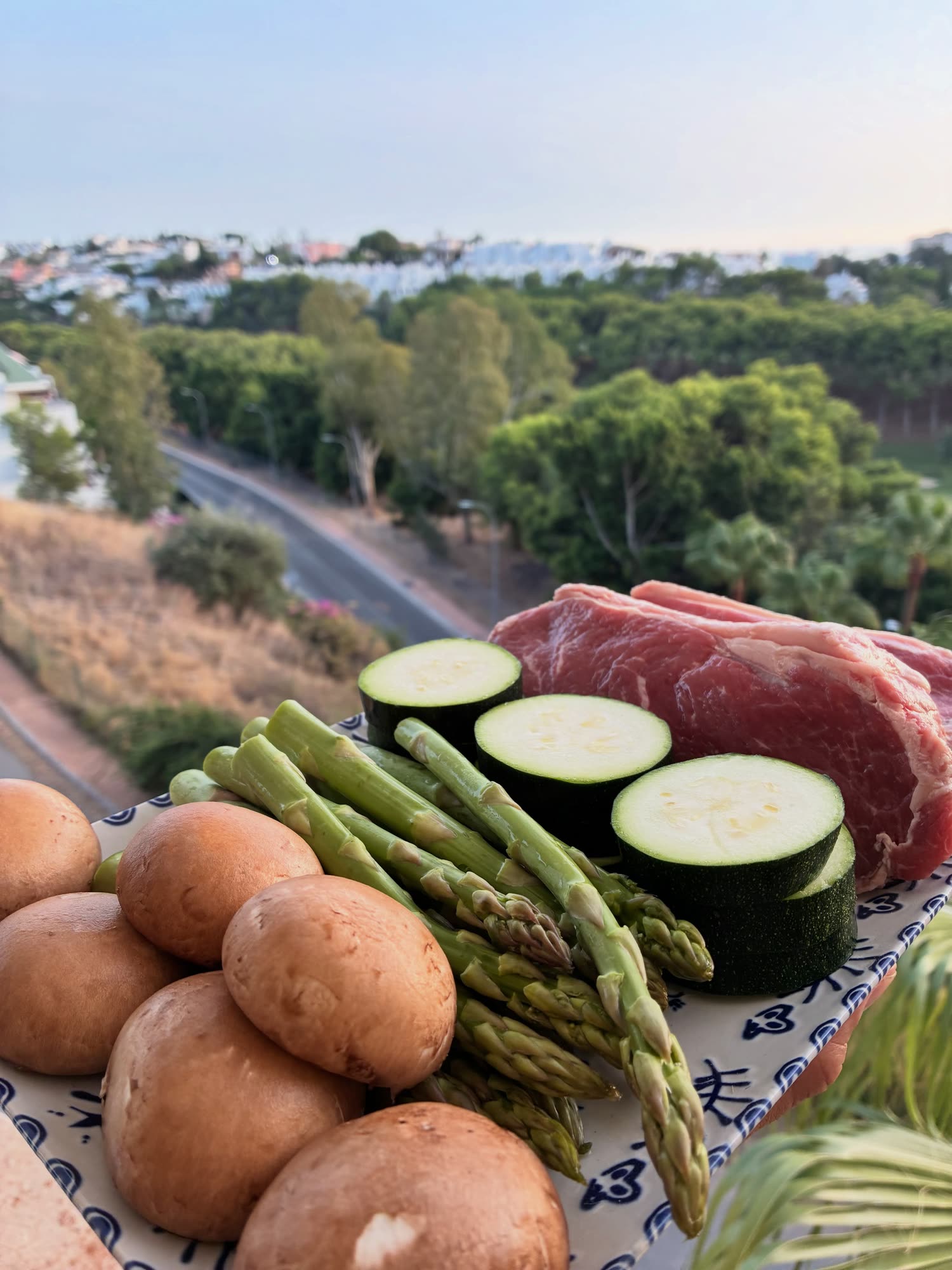 Carne, espárragos, calabacín, champiñones y patatas crudos sobre un mantel de cerámica, en una terraza con vistas a la costa