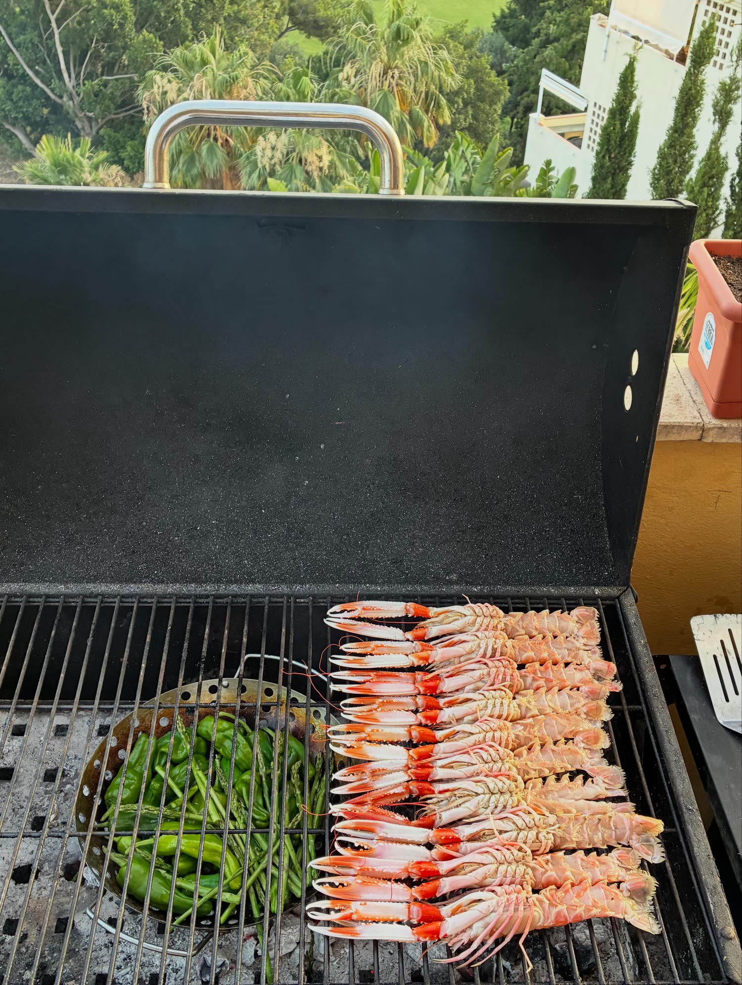 Cigalas crudas colocadas en filas paralelas perfectas sobre la parrilla, con espárragos verdes al lado