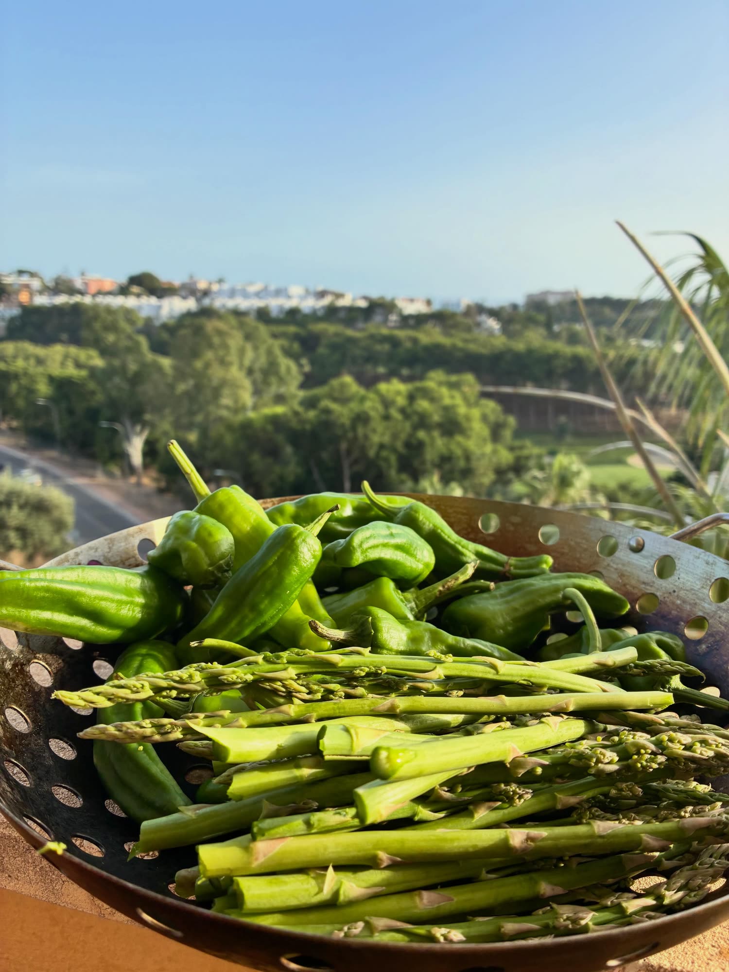 Espárragos y pimientos verdes sobre la plancha, con las urbanizaciones y la costa al fondo